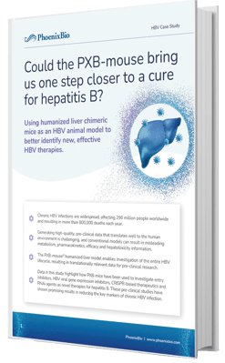 Using humanized liver chimeric mice as an HBV animal model to better identify new, effective HBV therapies.